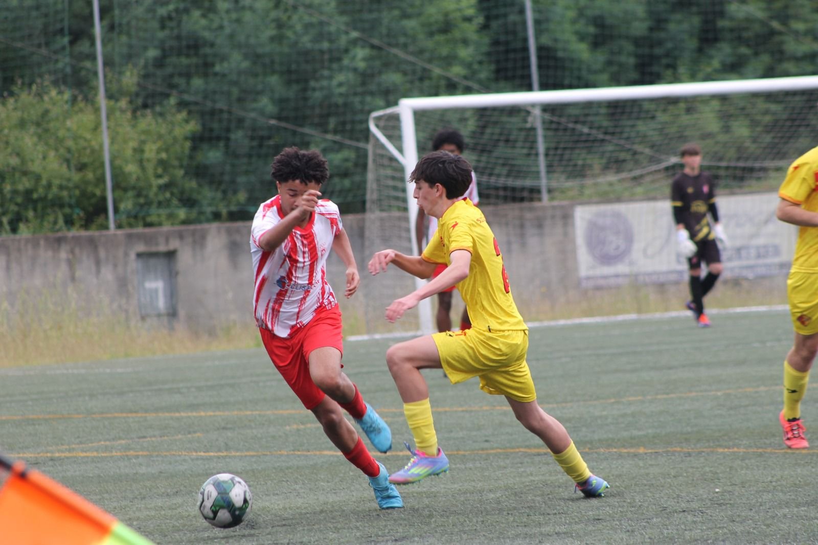 flavio tiago almeida soares (1)