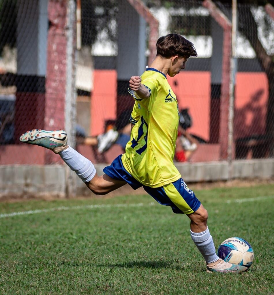 nicolas emanuel ferreira (2)